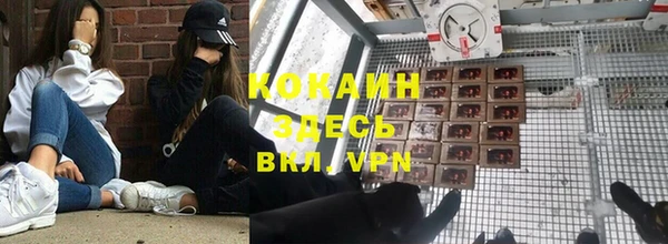 стафф Алзамай