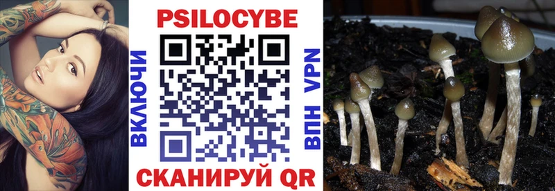 Псилоцибиновые грибы Psilocybine cubensis  Новоалтайск 