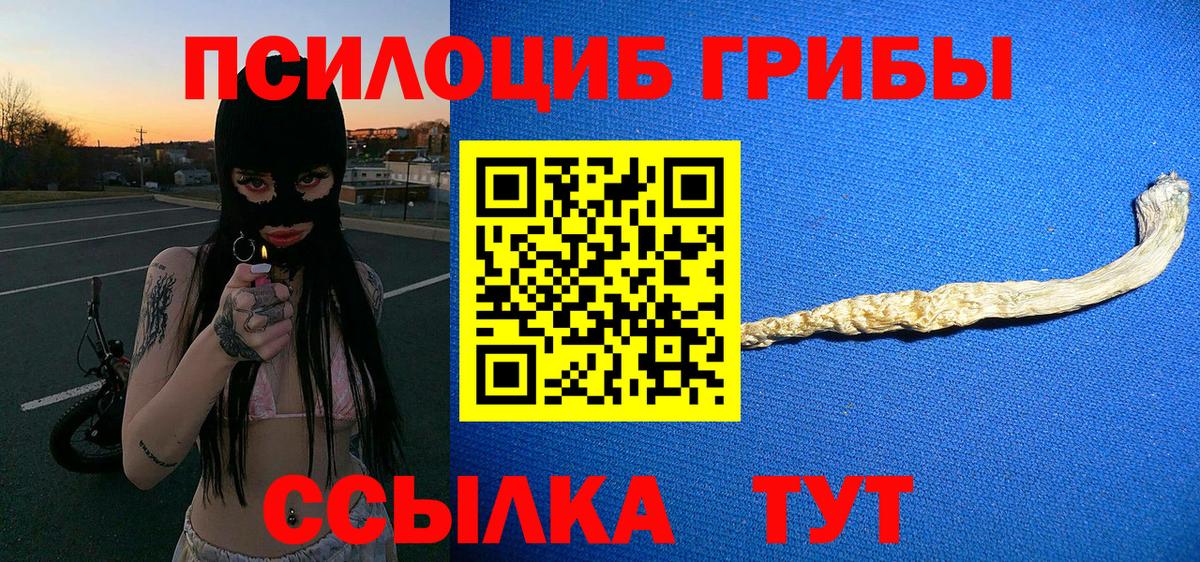 Галлюциногенные грибы мицелий  дарнет шоп  Новоалтайск  Галлюциногенные грибы ЛСД  Вход с VPN 