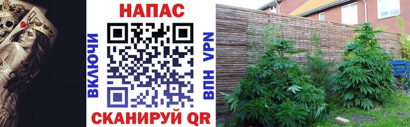 Бошки Шишки тримм  blacksprut tor  Новоалтайск 