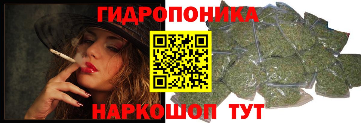 Конопля OG Kush Новоалтайск